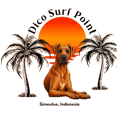 Dico Surf Lodge Logo