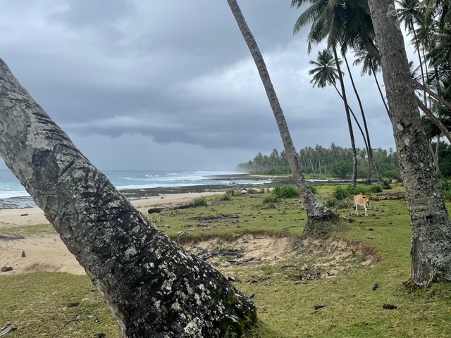 Tropical beach view